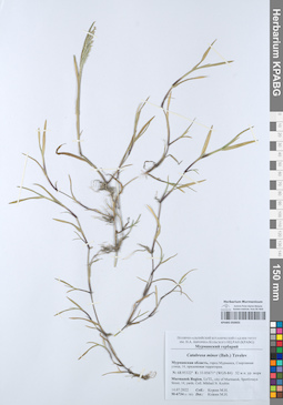 KPABG050602