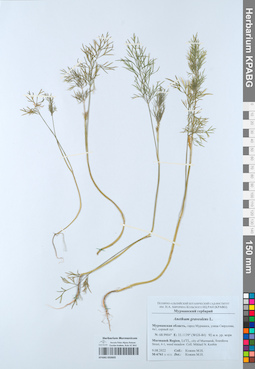 KPABG050605