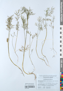 KPABG050606
