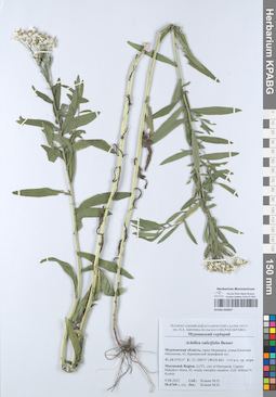 KPABG050607