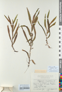 KPABG051419