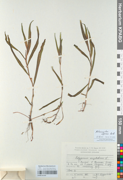 KPABG051420