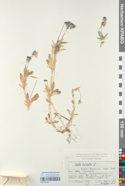 KPABG051433