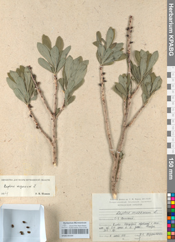 KPABG051434