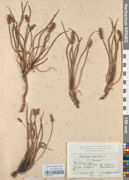 KPABG051441