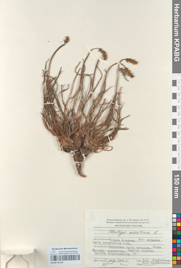 KPABG051443