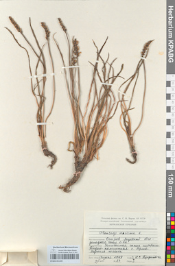KPABG051449