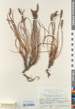 KPABG051450