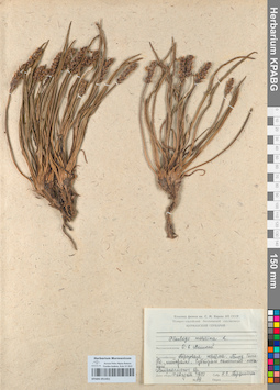KPABG051451