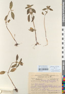 KPABG051456