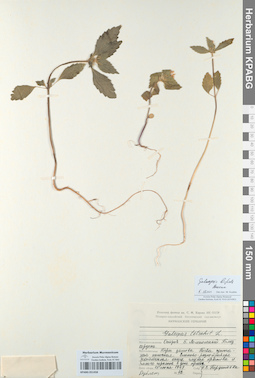 KPABG051458