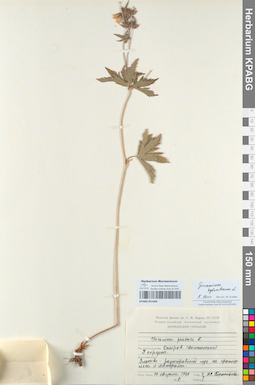KPABG051468