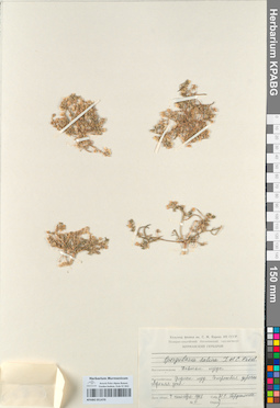 KPABG051470