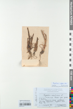 KPABG051472