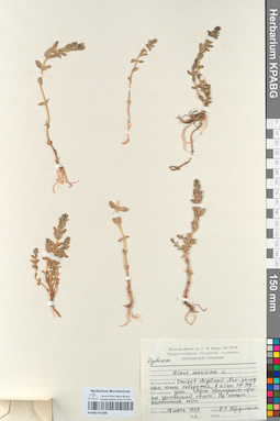 KPABG051486