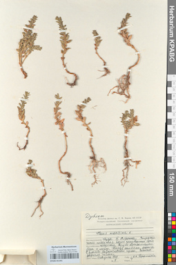 KPABG051491