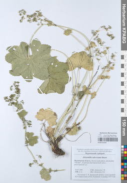 KPABG051669