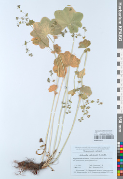 KPABG051670
