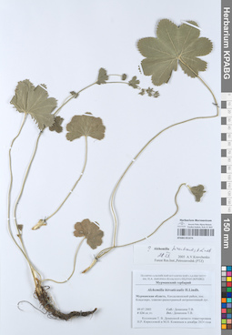 KPABG051674