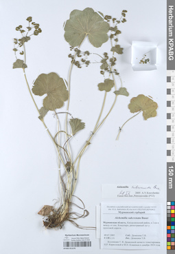 KPABG051678
