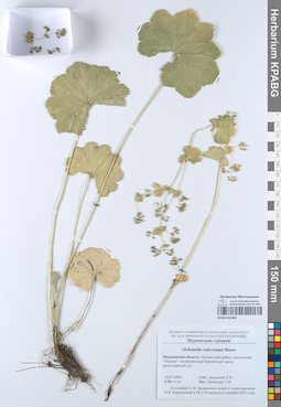 KPABG051683