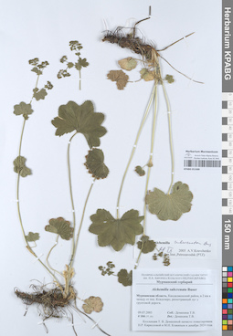KPABG051688