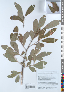 KPABG051693