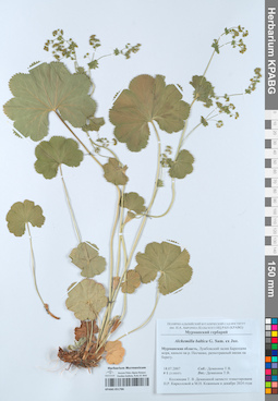 KPABG051786