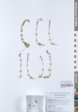 KPABG051791