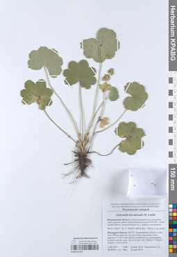 KPABG051793