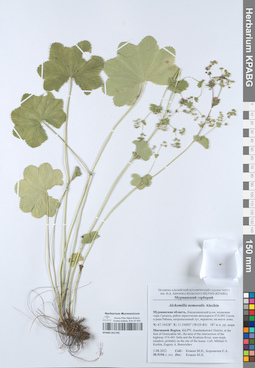 KPABG051795