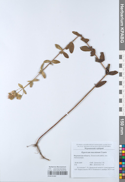 KPABG051802