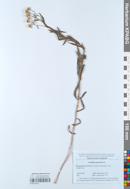 KPABG051813