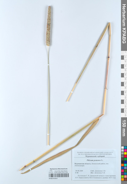 KPABG051814