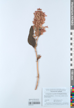 KPABG051816