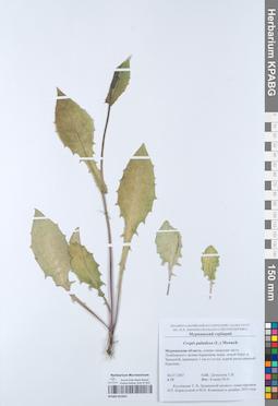 KPABG051822