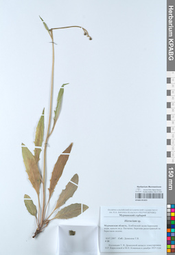 KPABG051823