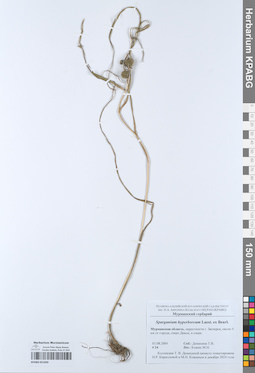 KPABG051830