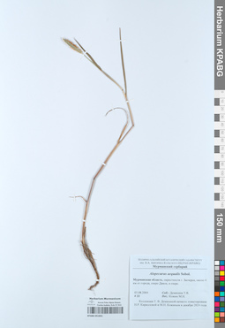 KPABG051831