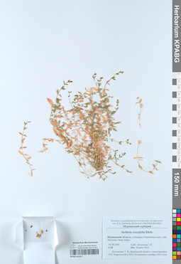 KPABG051837