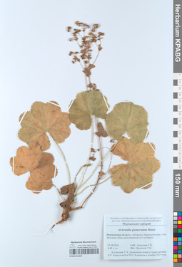 KPABG051839