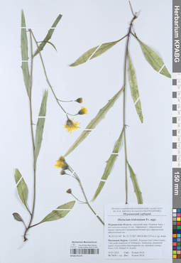 KPABG051575
