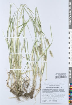 KPABG051578