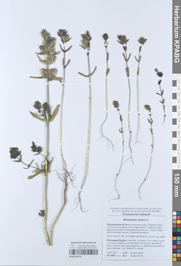 KPABG051579