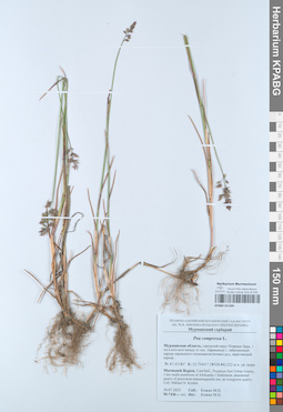 KPABG051584