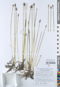 KPABG051586
