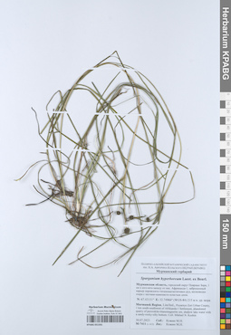 KPABG051591