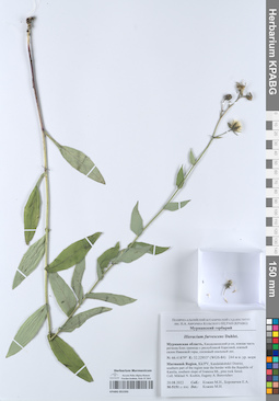 KPABG051593