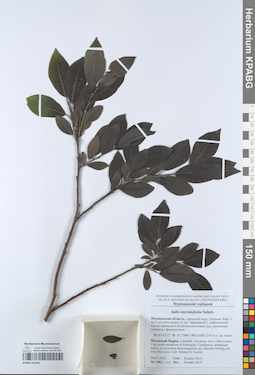 KPABG051604