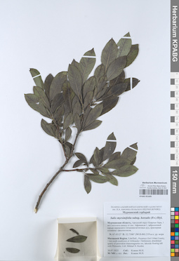 KPABG051605
